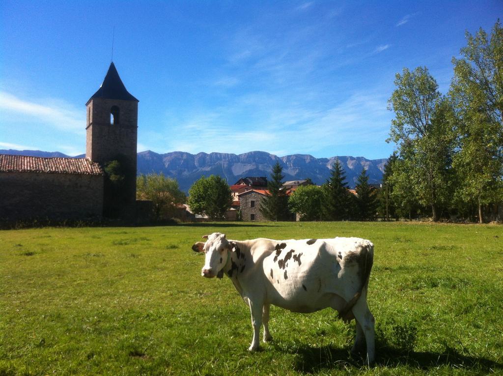 Casa rural Cal Rei